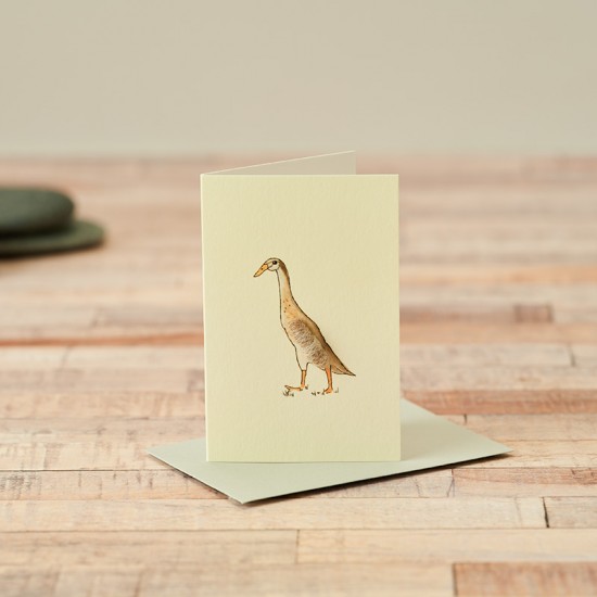 Mini Duck Indian Runner card