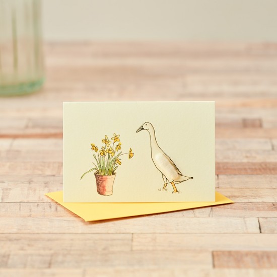 Mini Duck Indian Runner with daffodils card
