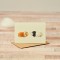 Mini Guinea Pig ginger white and black card