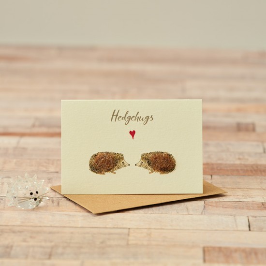 Mini Hedgehugs card