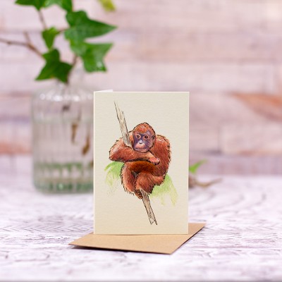 Mini Orangutan