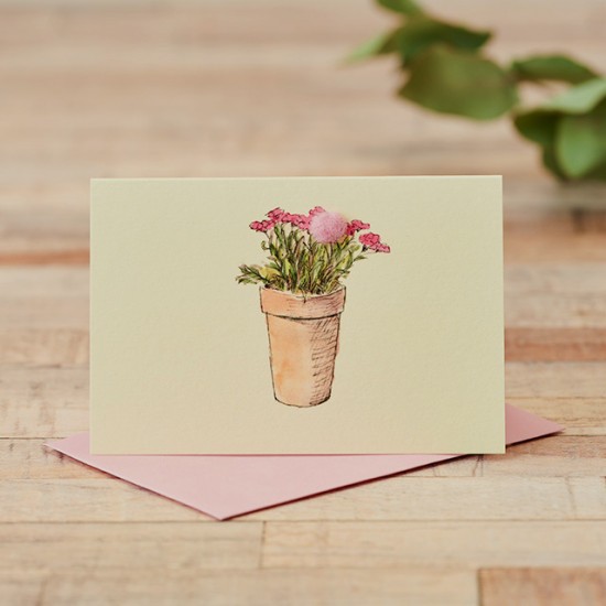 Mini Pinks pot of card