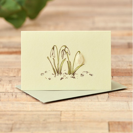 Mini Snowdrops card