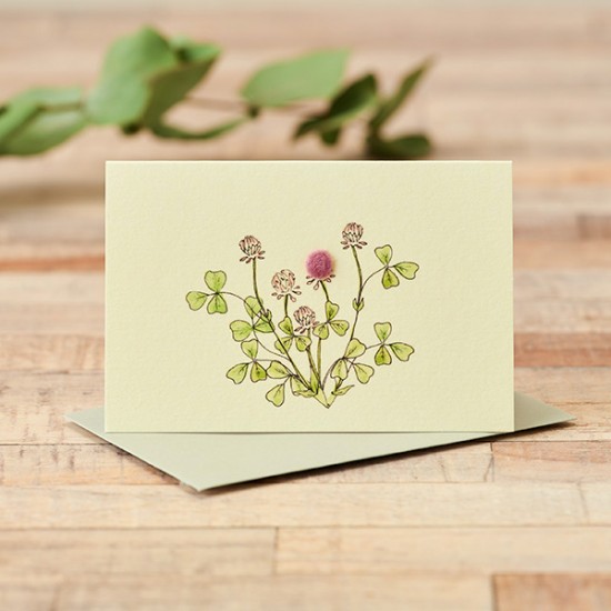 Mini Clover card