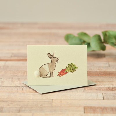 Mini Rabbit Dutch and carrots