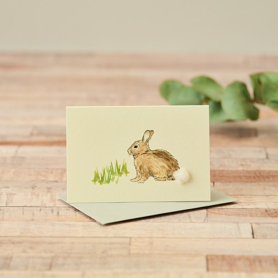 Mini Rabbit in grass card
