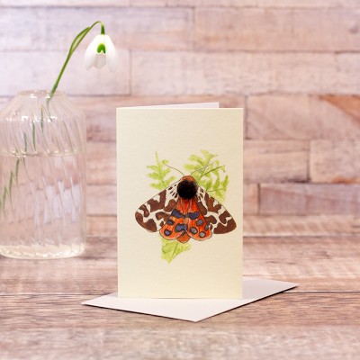 Mini Garden Tiger moth card Mini Garden Tiger moth card