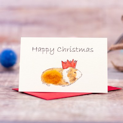 Mini Guinea Pig in Christmas hat