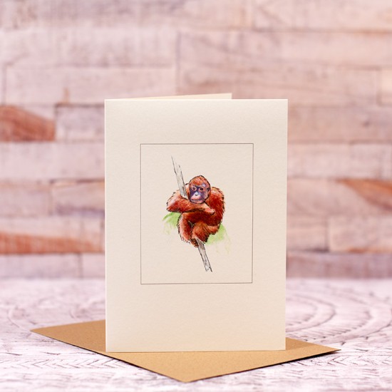 Orangutan card