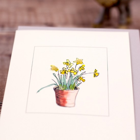 Pot of Daffodils