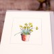 Pot of Daffodils