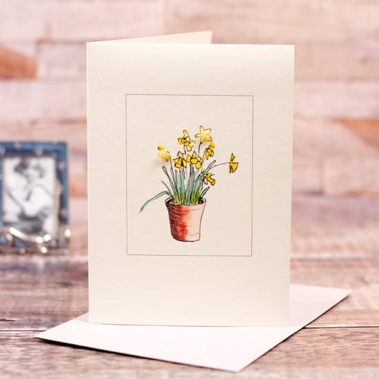 Pot of Daffodils