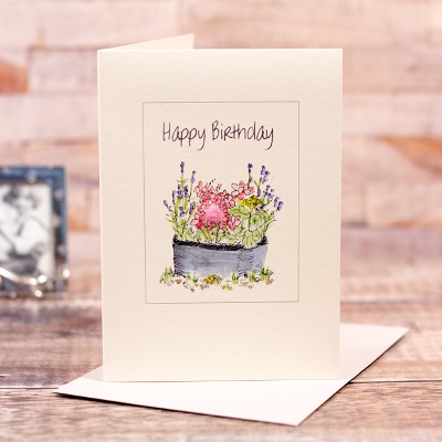 Pot of Hydrangeas - Happy Birthday