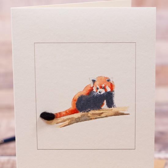 Red Panda card