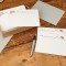 Notecards Mouse/Vole