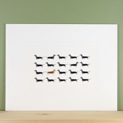 Limited Edition Of 20 Dachshunds print