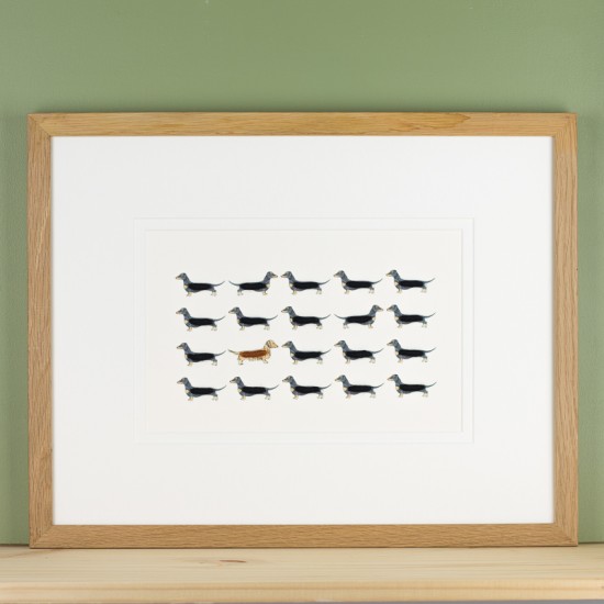 Limited Edition Of 20 Dachshunds print