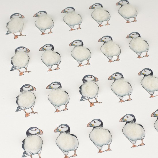 Limited Edition Of 20 Puffins print