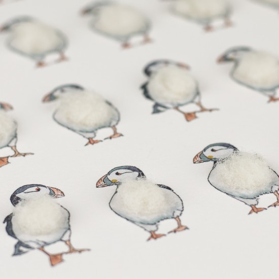 Limited Edition Of 20 Puffins print