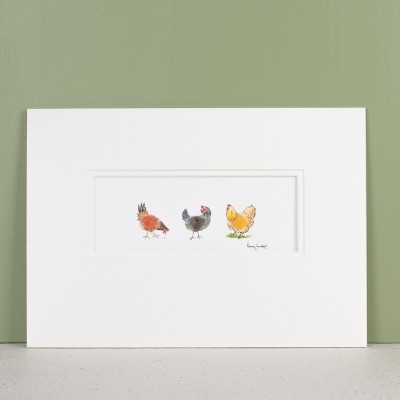 Assorted chickens print