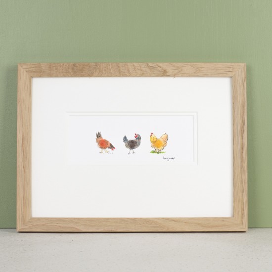 Assorted chickens print