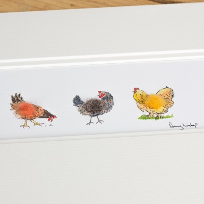 Assorted chickens print