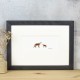 Fox and cub print