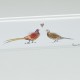 Pheasants in love print