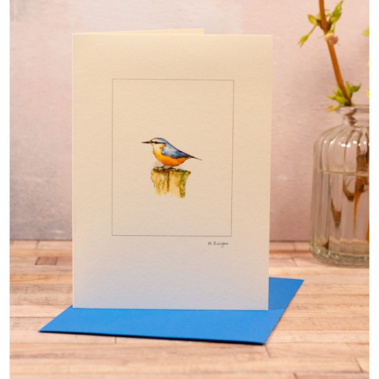 Nuthatch bird Greetings card