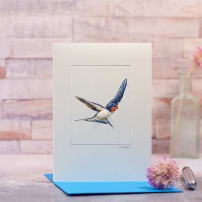 Swallow Card Swallow Card