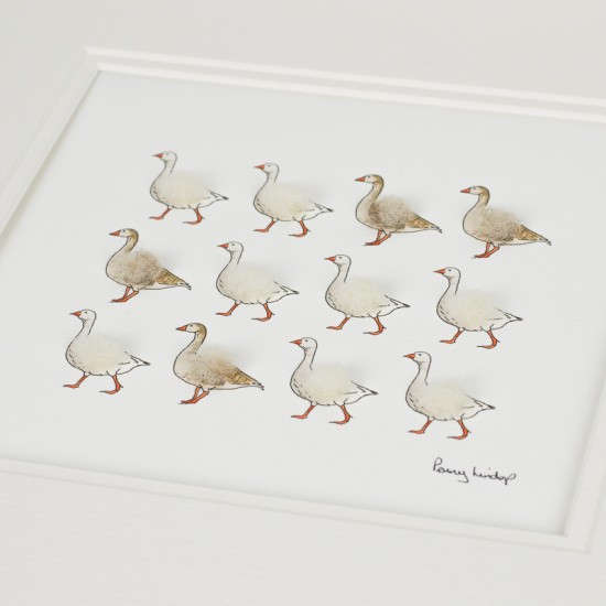 Greylag Geese print