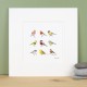 Birds garden print