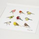 Birds garden print