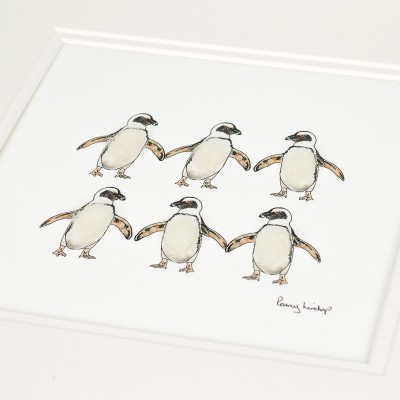 Jackass penguins print