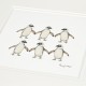 Jackass penguins print