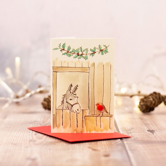 Mini Donkey & Robin Christmas card