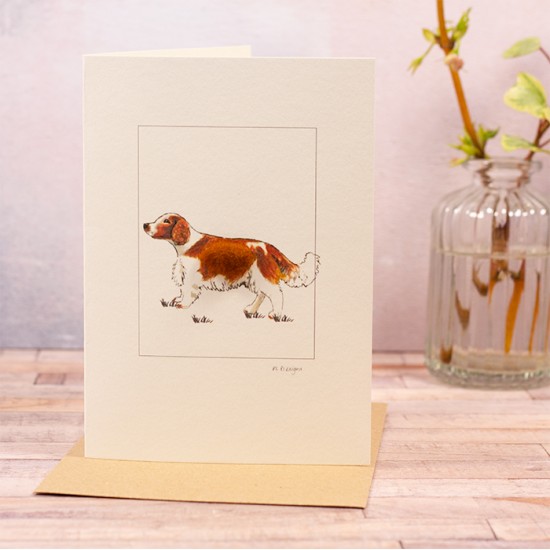 Spaniel greetings card