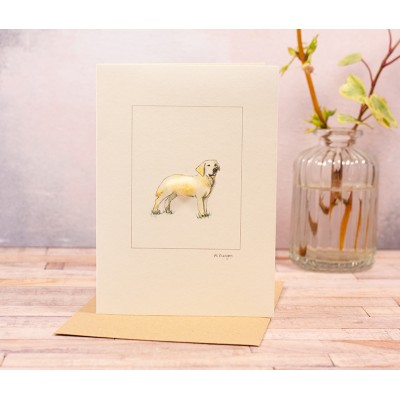 Cream Labrador Greetings Card Cream Labrador Greetings Card