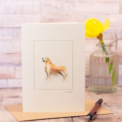 Retriever Greetings Card Retriever Greetings Card