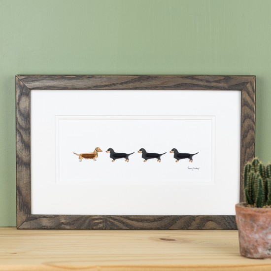 4 Dachshunds print