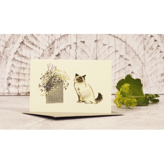 Mini Siamese cat card next to large pot of flowers