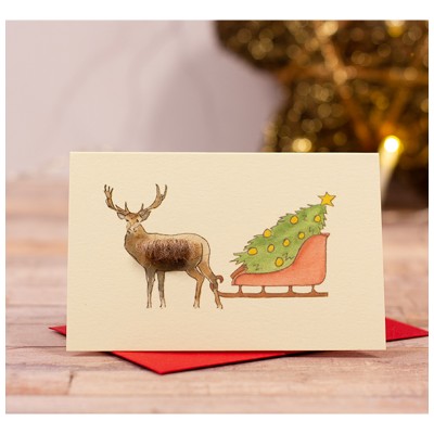 Mini Deer & Sleigh Christmas gift card Mini Deer & Sleigh Christmas gift card