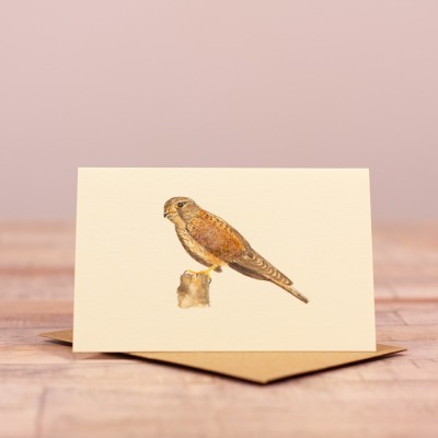 Mini Kestrel card Mini Kestrel card