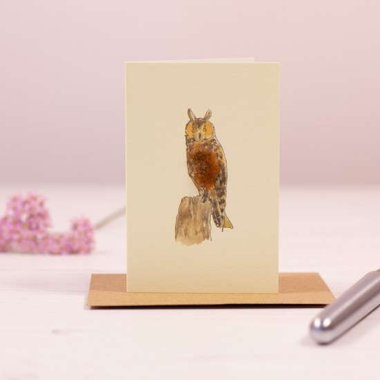Mini Owl - Long-Eared Owl