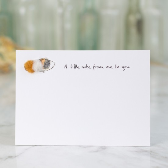 Notecards Guinea Pig