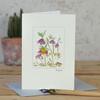 Hellebores card Hellebores card