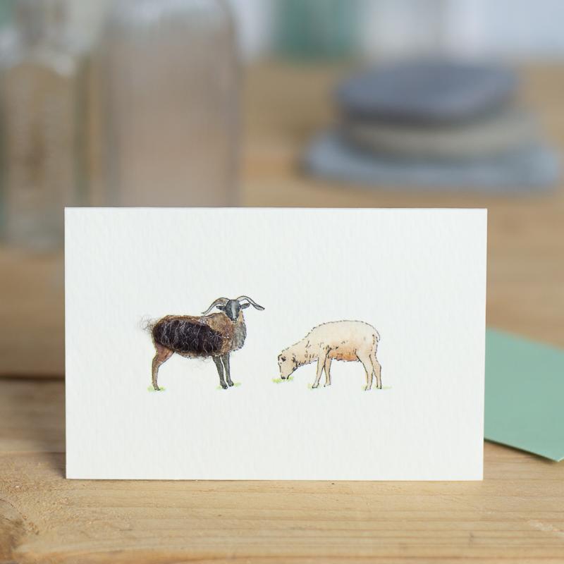 Mini Cards - Papersheep (Trade Only)